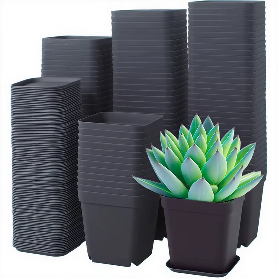 Pots de plantes à fleurs carrés noirs de 7cm