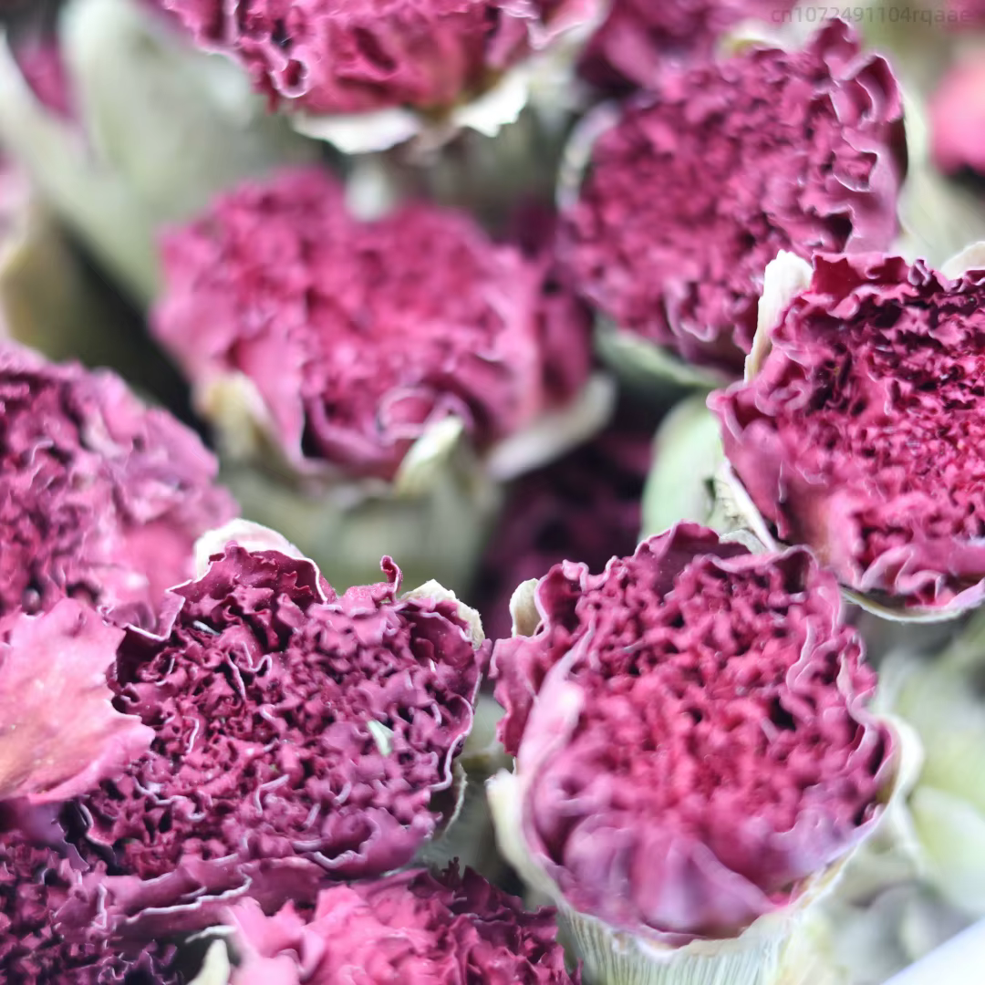 Fleurs séchées à œillets naturels de qualité supérieure