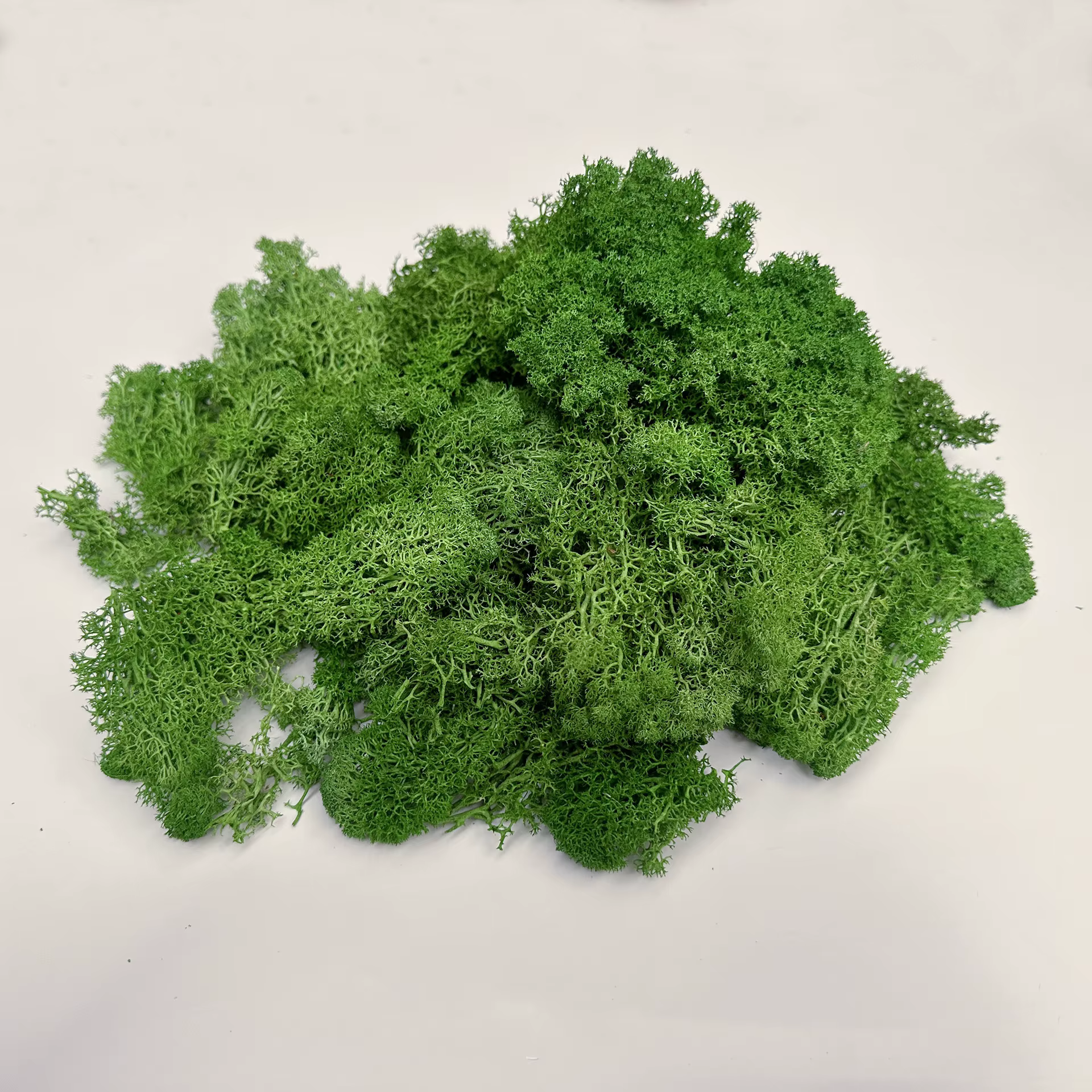 Plantes vertes artificielles