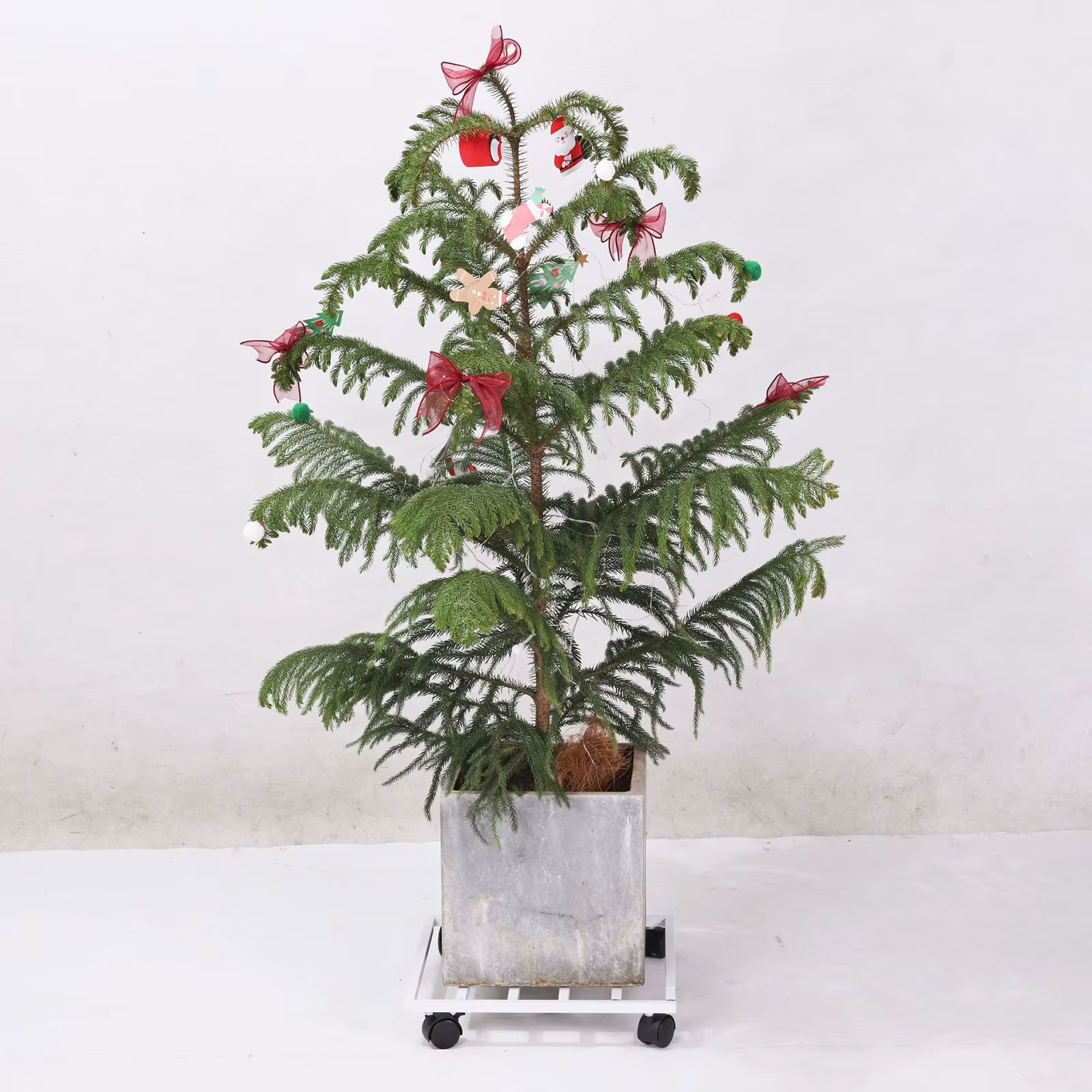 Support de Pot de fleur avec roue