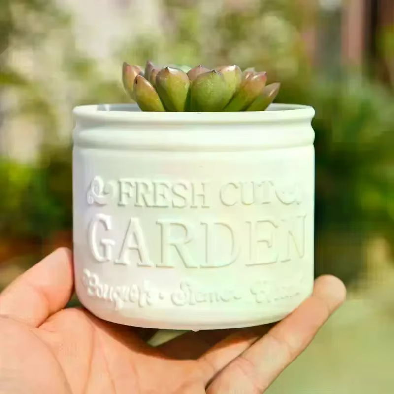Pot de fleurs rond pour plantes succulentes