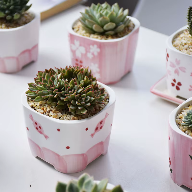 Pot de fleurs succulentes carré en céramique peint à la main pour fille rose