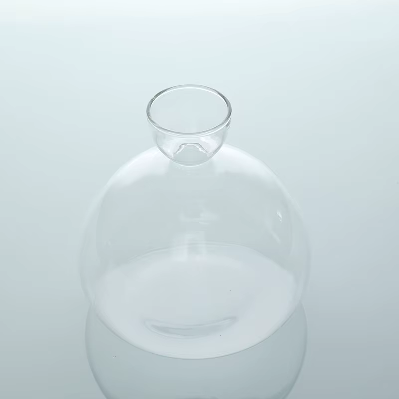 Vase de démarrage de graines d'avocat