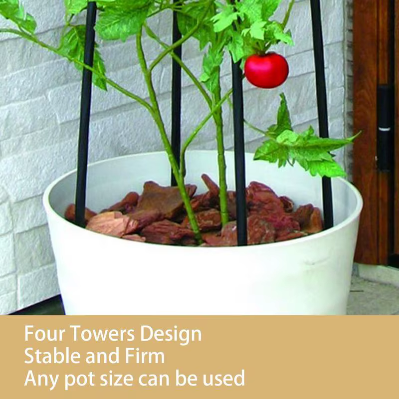 Supports de fleurs de vigne grimpante de jardin