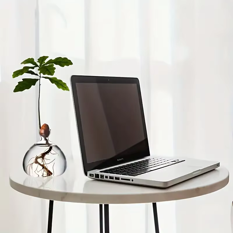 Vase d'avocat pour culture d'ampoule en verre