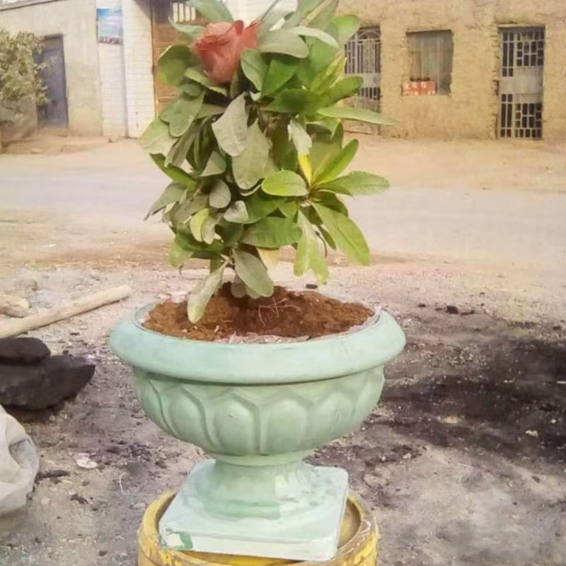 Moule en plastique Pot fleurs artisanat ciment décoration bricolage bonsaï planteur faisant boîte rangement