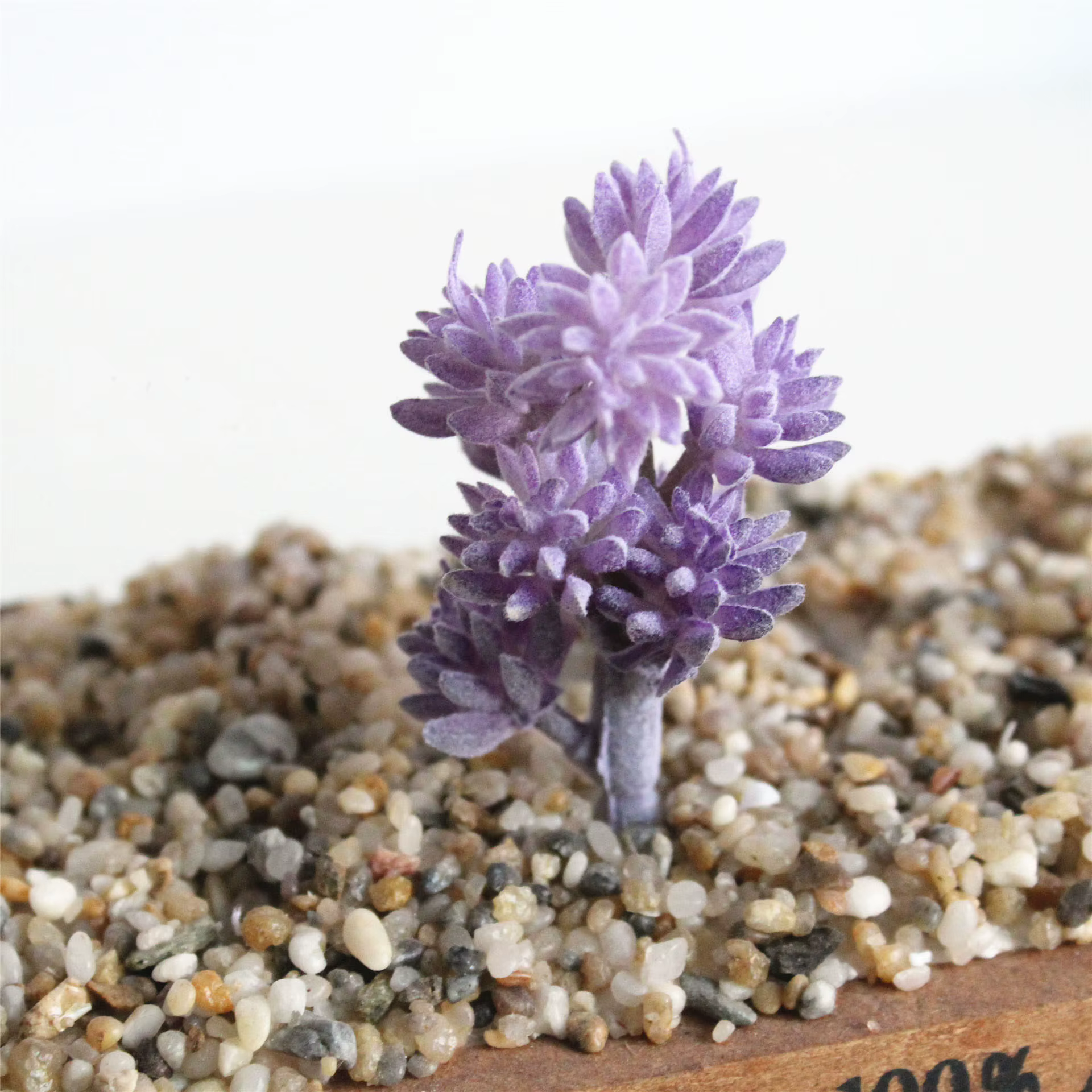Plantes succulentes artificielles floquées en violet