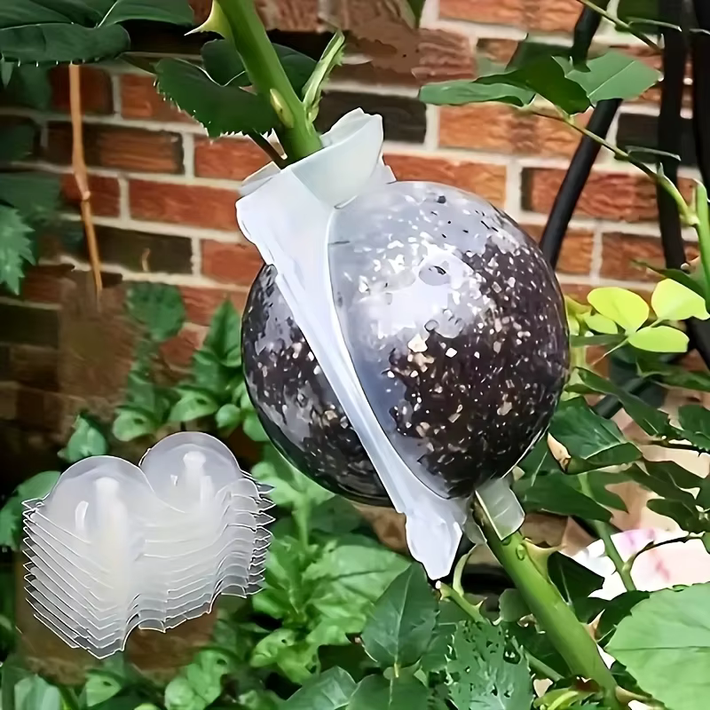 Boule d'enracinement de plantes à haute pression