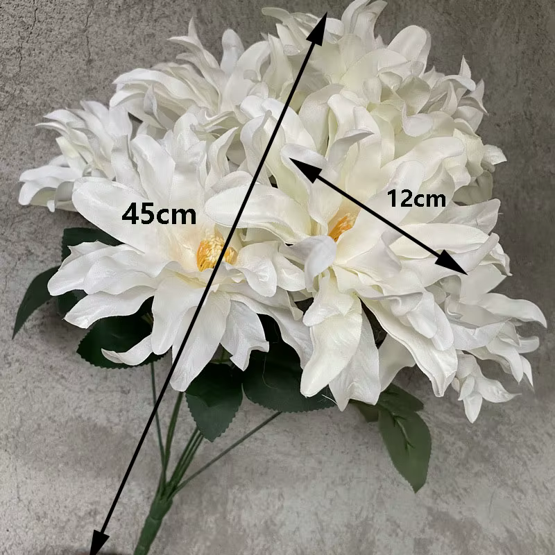 Simulation de fleur de Dahlia à 7 têtes