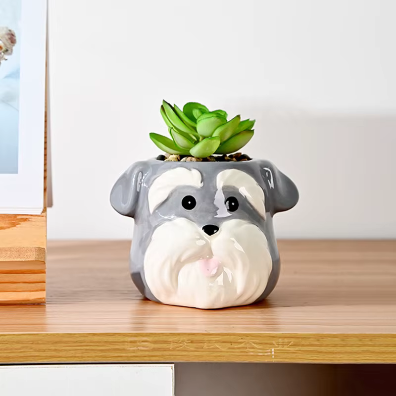 Pot de fleur succulente en céramique