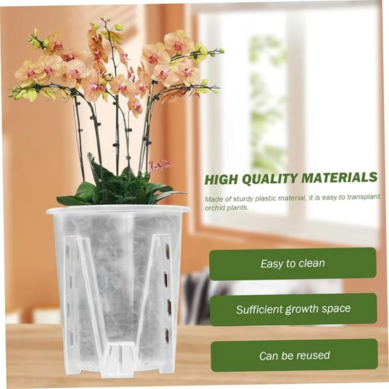 Pot de plantes d'orchidées Transparent