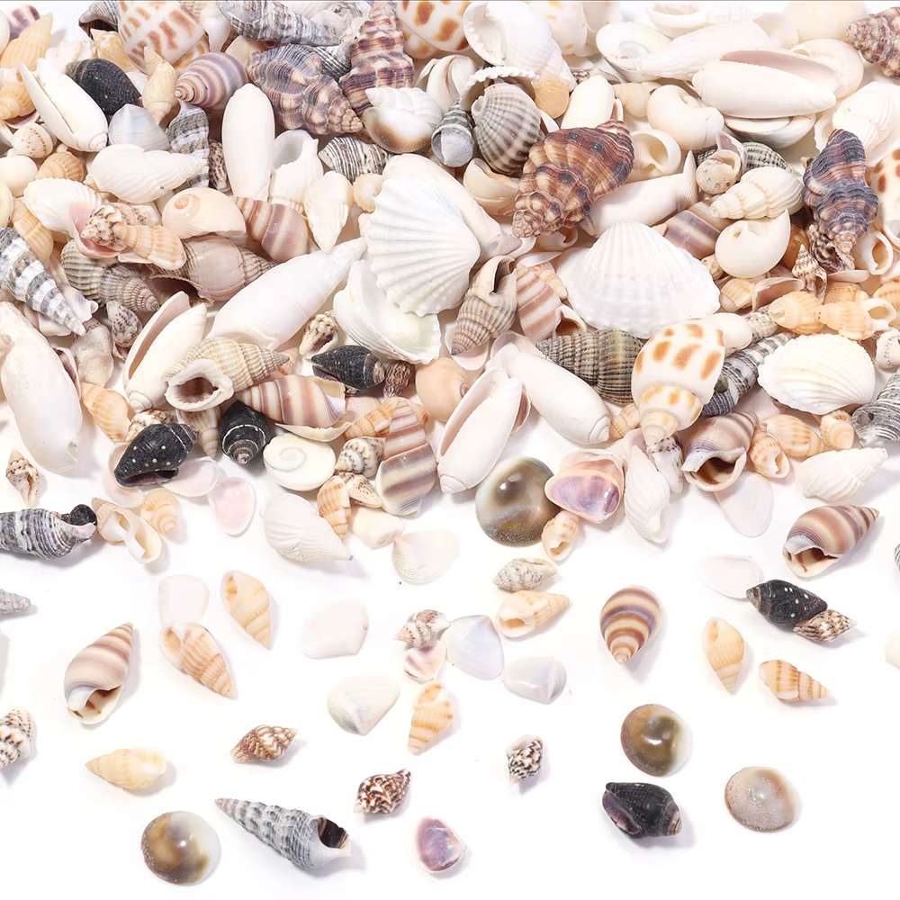 40g / lot Fleur de mer escargot Shell perles Perles d'espaceur lâches pour la fabrication de bijoux Bracelet bricolage Pendentif Chaîne de sacs clés téléphone Accessoires