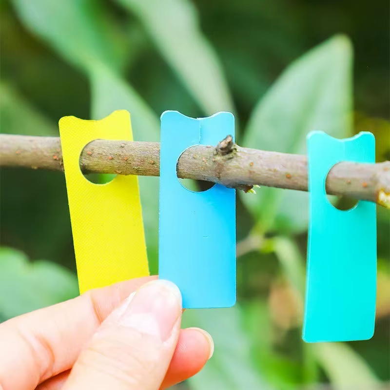 100 étiquettes pour plantes multifonctions