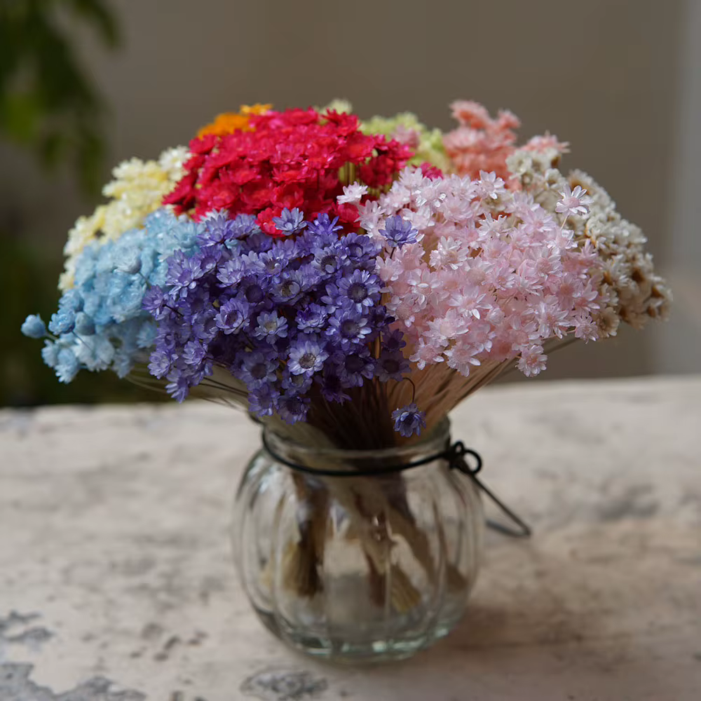 100 pièces/Mini fleurs étoilées séchées Mikado