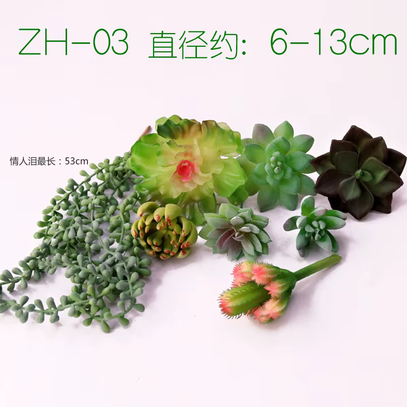 Plantes succulentes artificielles