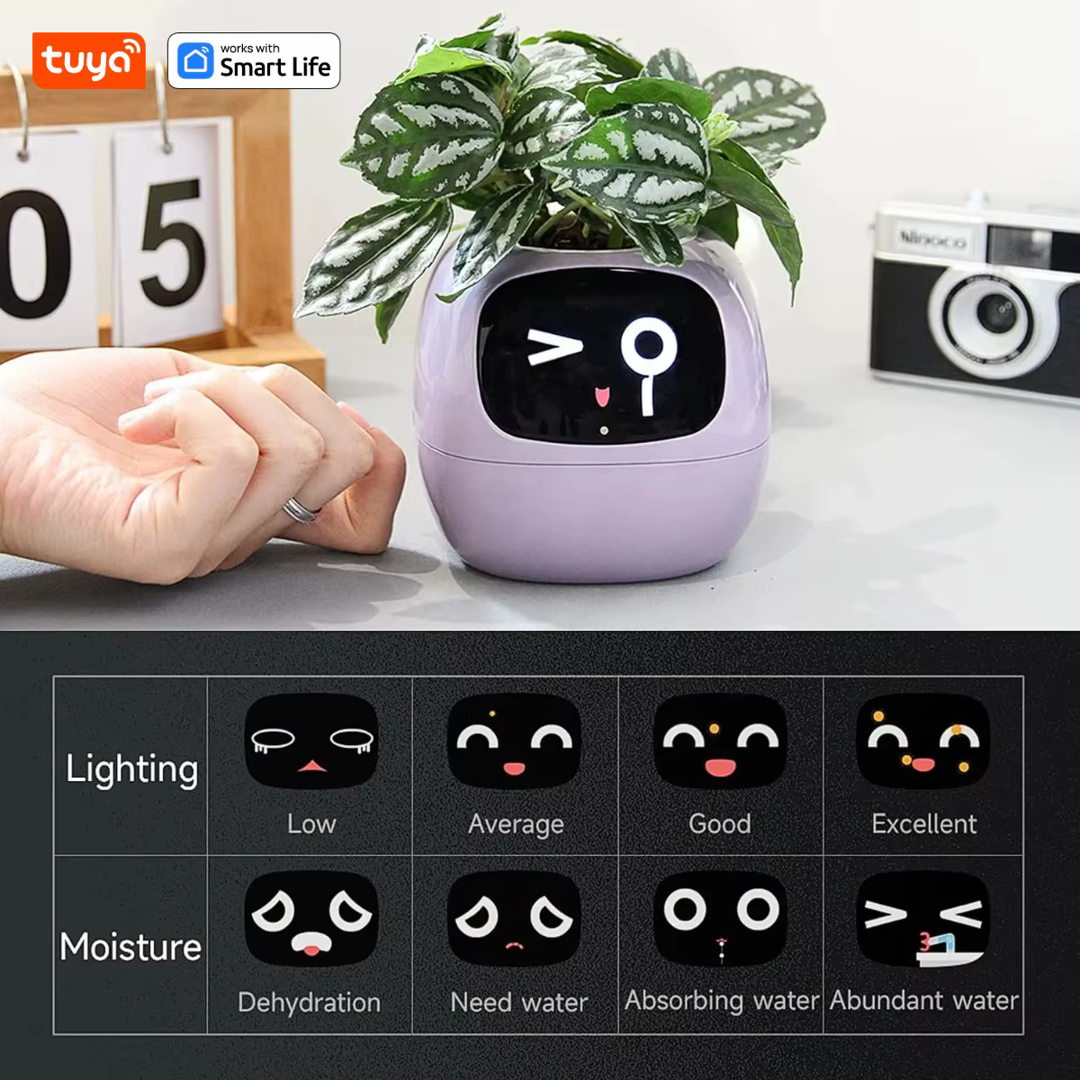 Jardinière intelligente Tuya Gen1 Ivy