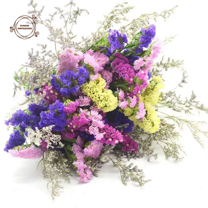 Bouquet de fleurs séchées naturelles