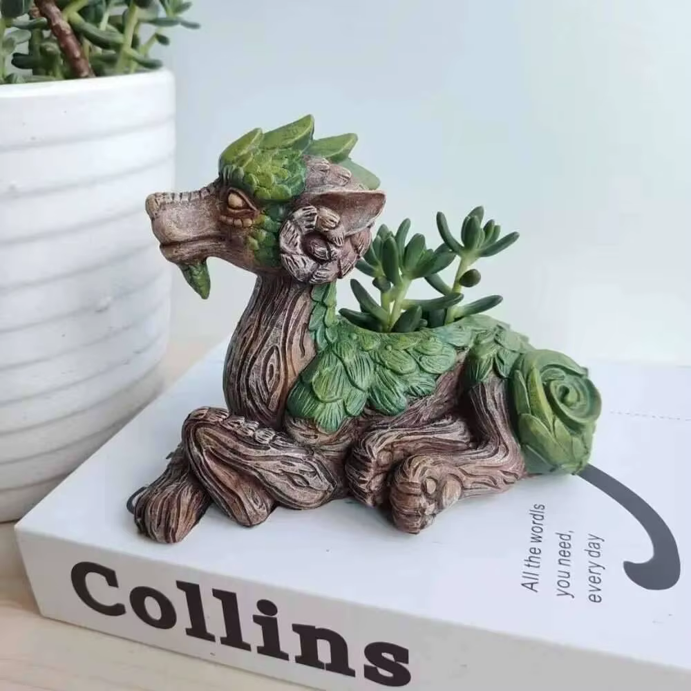 Jardinière succulente d'arbre de Dragon créatif