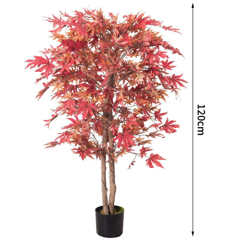 Simulation d'arbre d'érable rouge