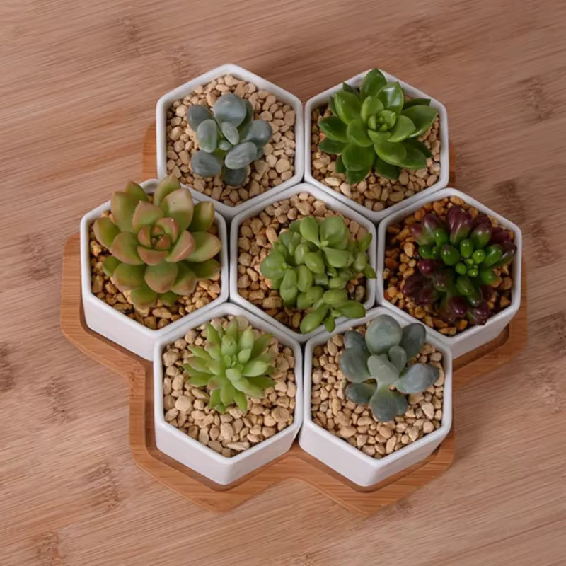 Pot de fleurs hexagonal en céramique blanche avec support en bambou