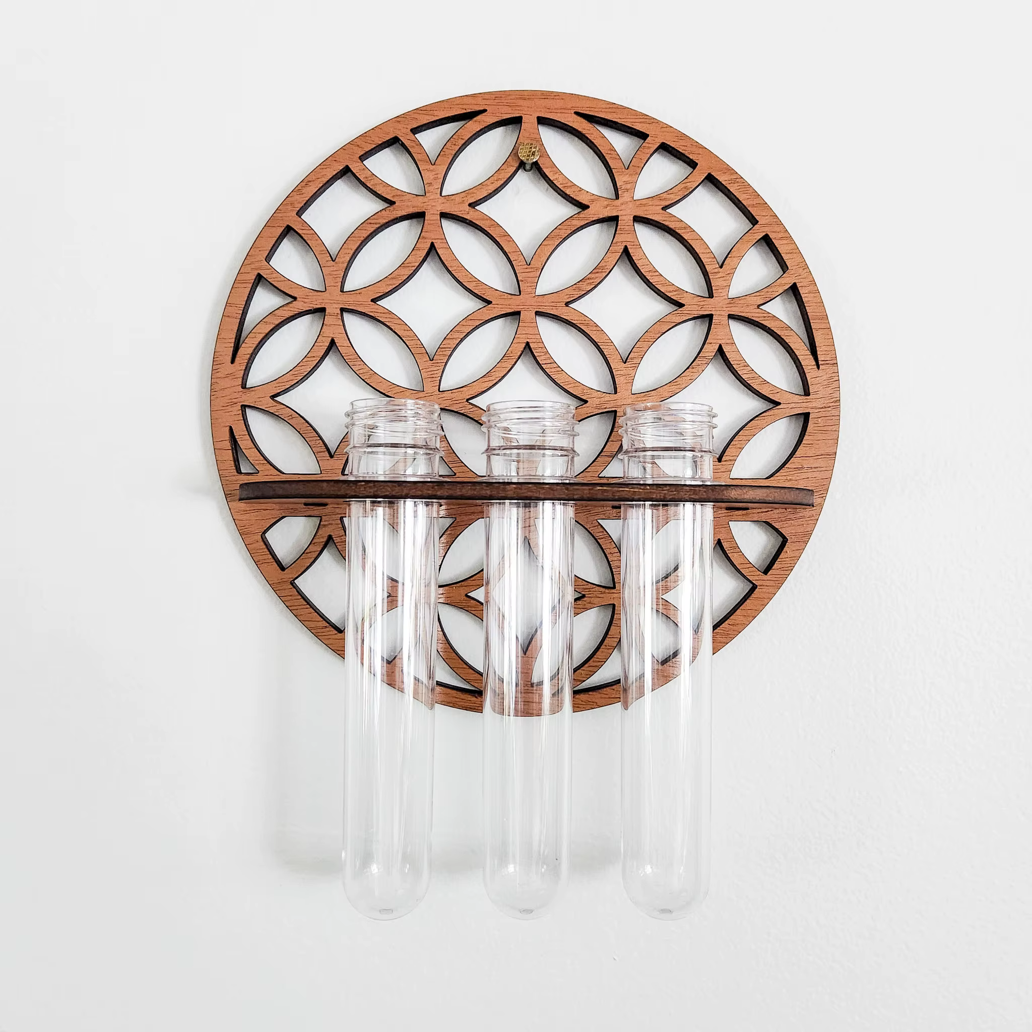 Jardinières murales pour plantes d'intérieur avec 3 Tubes à essai en plastique