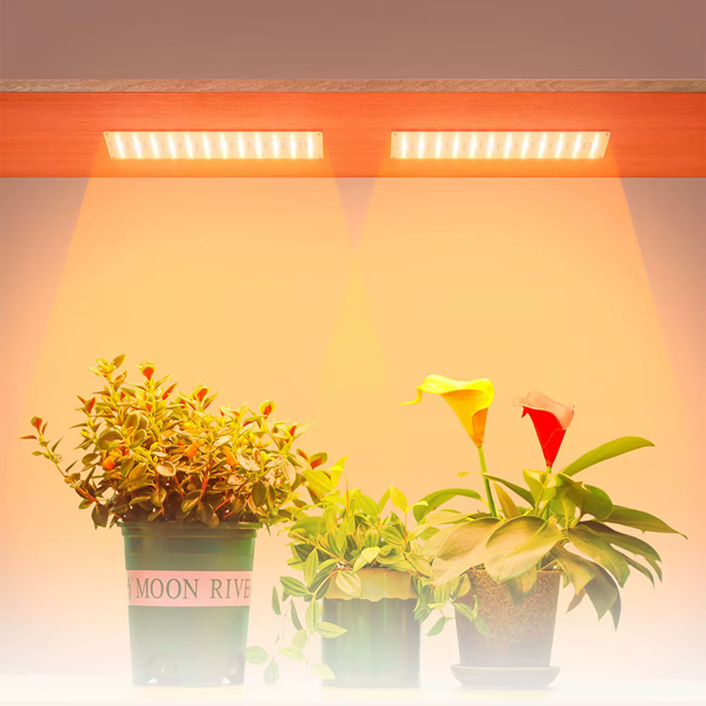 Lumière de croissance LED d'intérieur USB panneau quantique plante éclairage supplémentaire suspendu 5V lampe