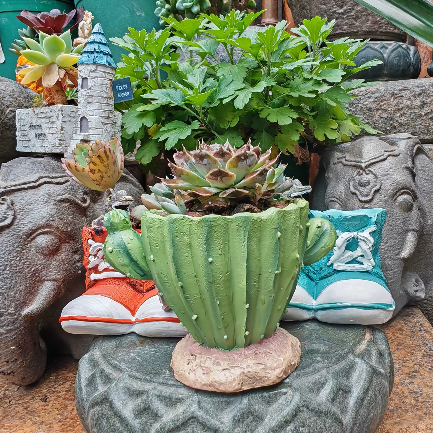 Pot de fleurs pour cactus