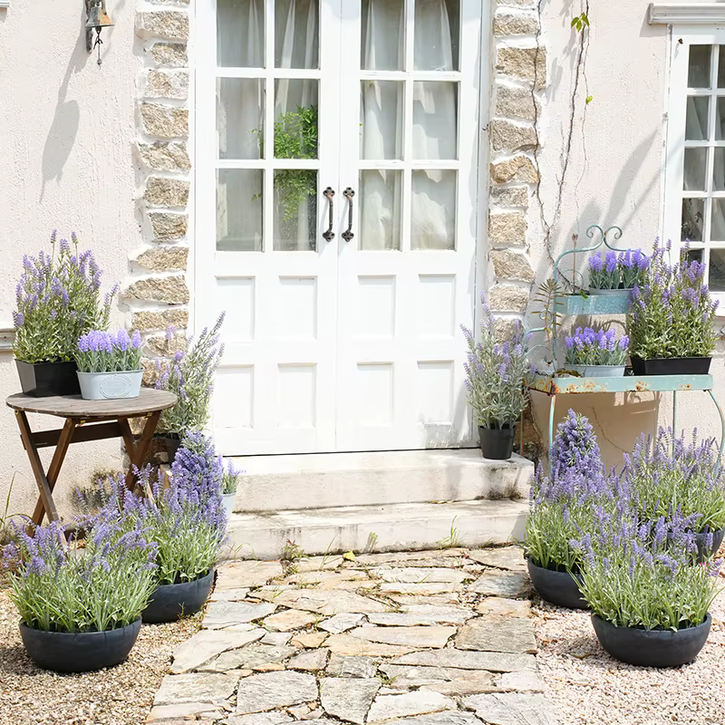 Plantes en pot de µartificielle