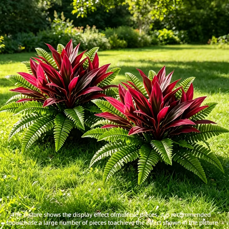 Alocasia à feuilles rouges (Aroides) avec fougère artificielle Asplenium