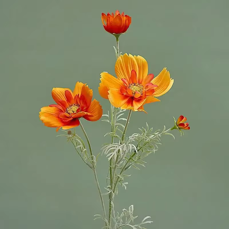 Gesang-Fausse fleur cosmos à branche unique