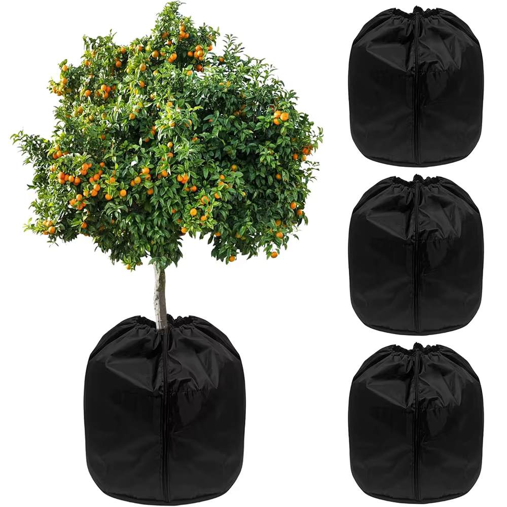 Couverture de plantes d'hiver