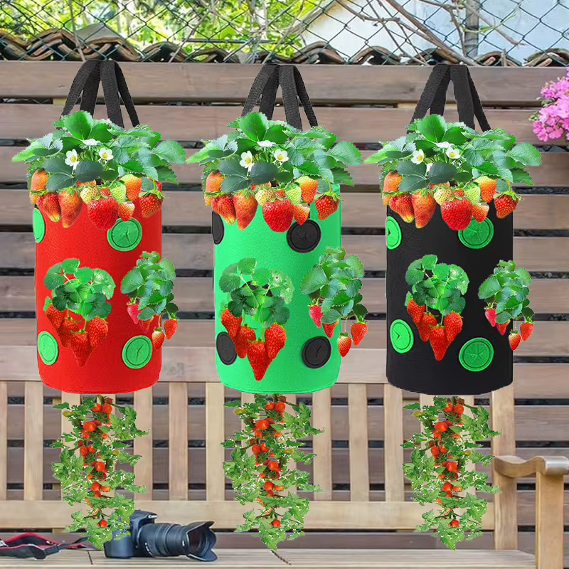 Sac de plantation suspendu pour fraises et tomates