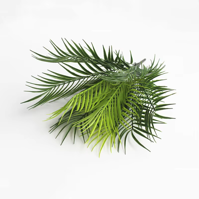 Feuilles de palmier Monstera Tropical
