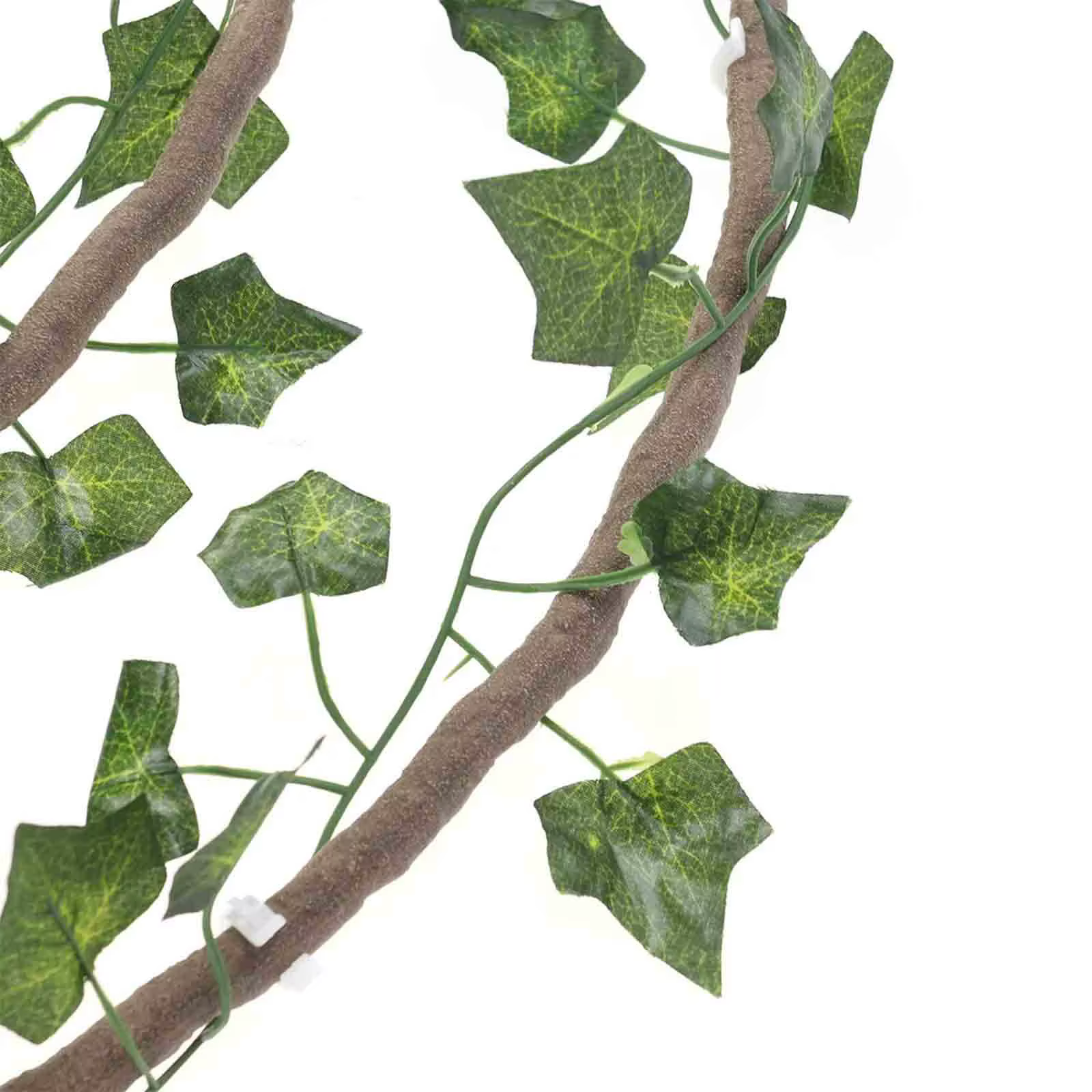Vignes de Reptile pour décor de Terrarium