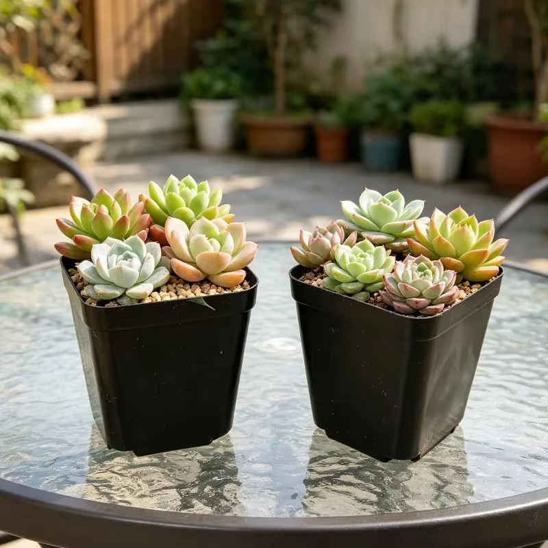 Pots de pépinière en plastique avec trous respirants