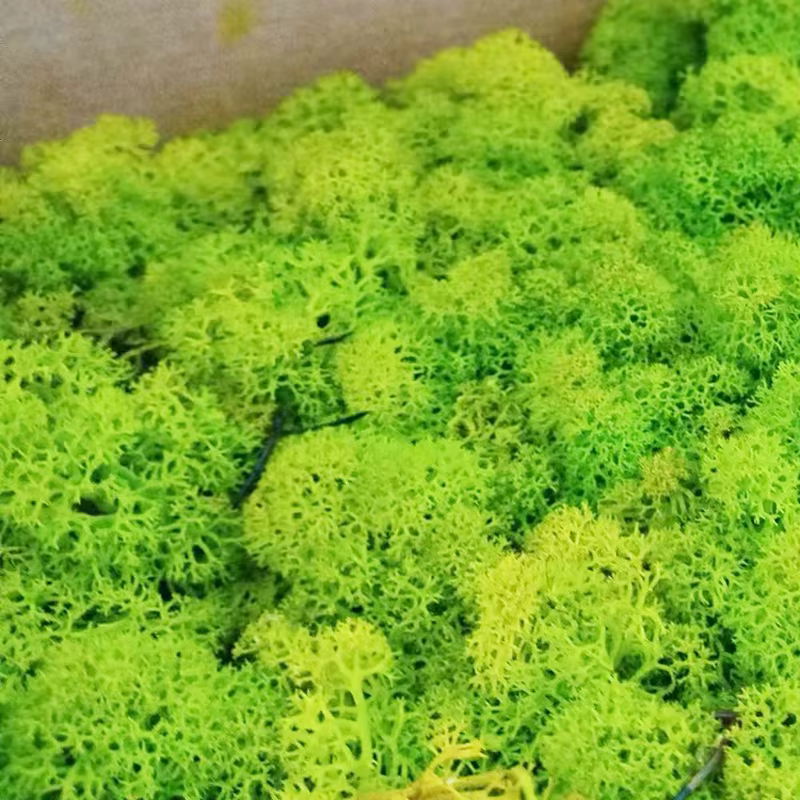 Plantes Vertes Artificielles Bon Marché