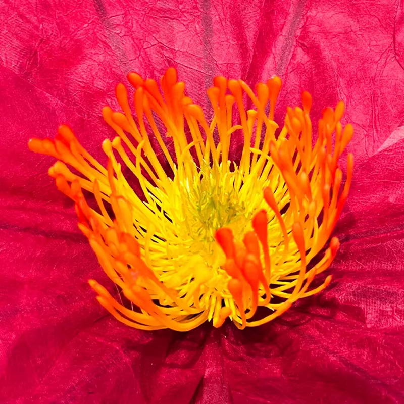 Fleurs artificielles en papier imperméable