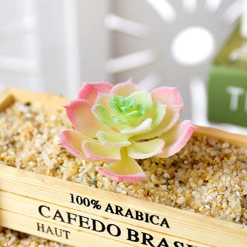 Wusmart – petites plantes succulentes artificielles Shui Lian