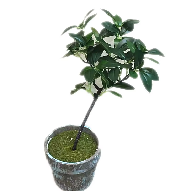 5 pièces artificielle Peperomia Sterm Tetraphylla branche d'arbre plante verte subtropicale