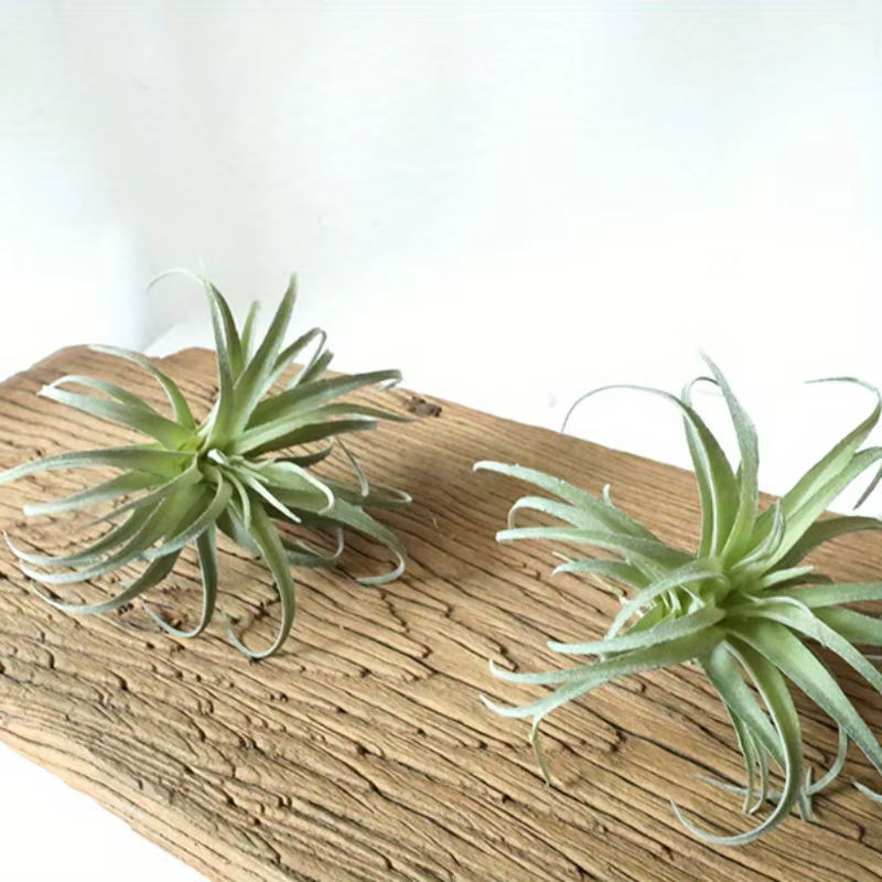 Faux Bromeliads floqués verts artificiels