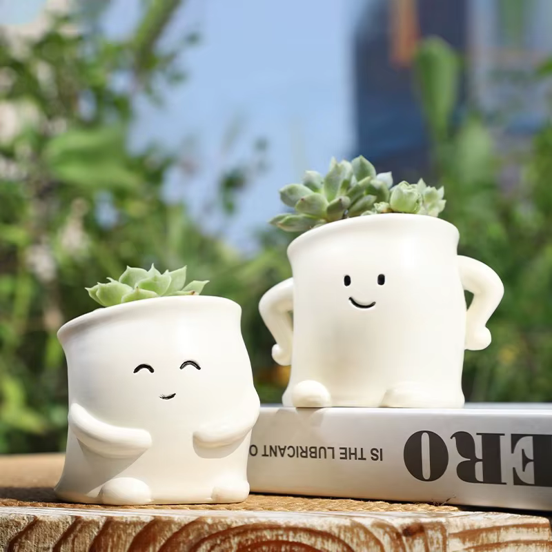 Mini Pot de plantes en résine avec visage Smiley