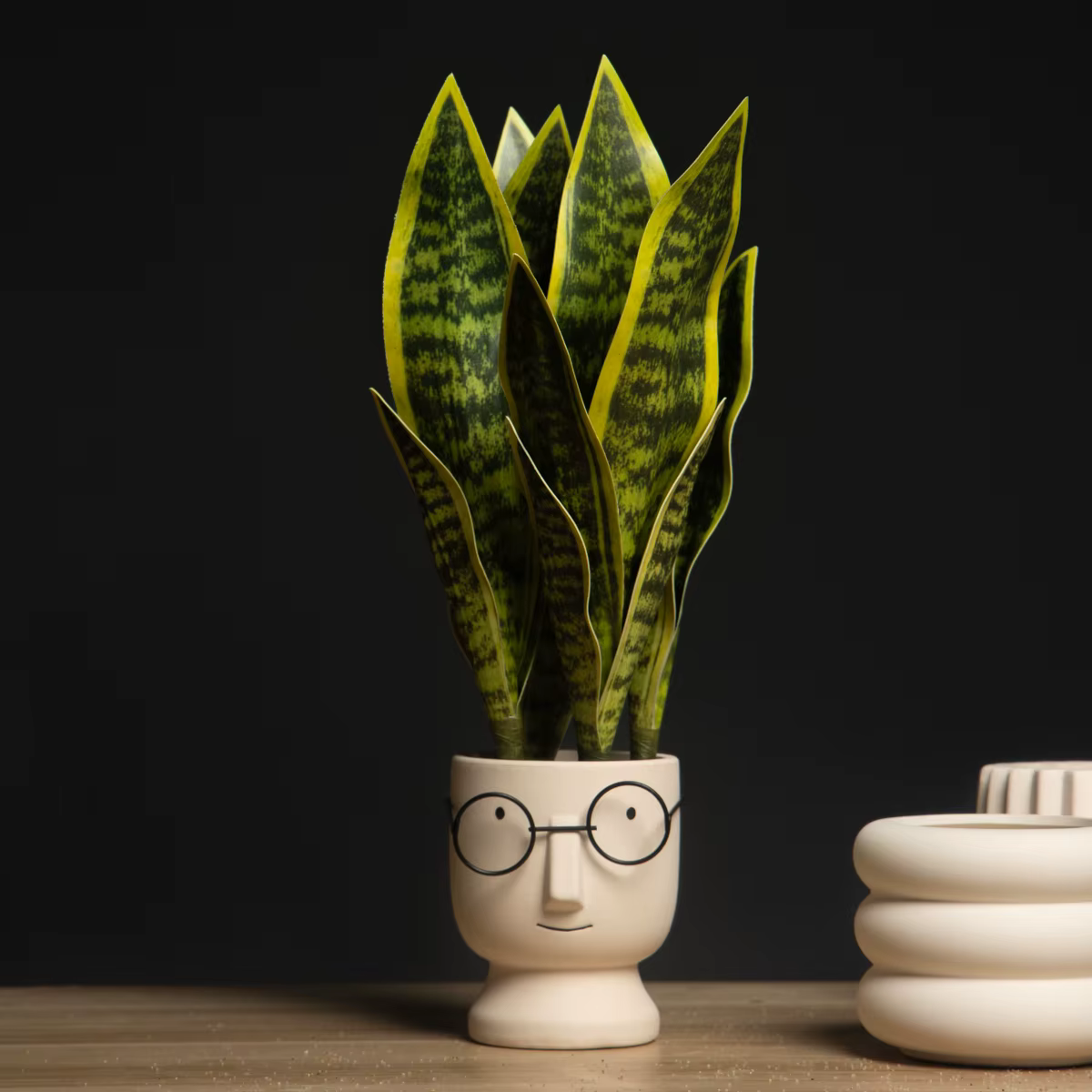 32/37cm plantes succulentes artificielles fausse Sansevieria intérieur fourrure de tigre tropicale