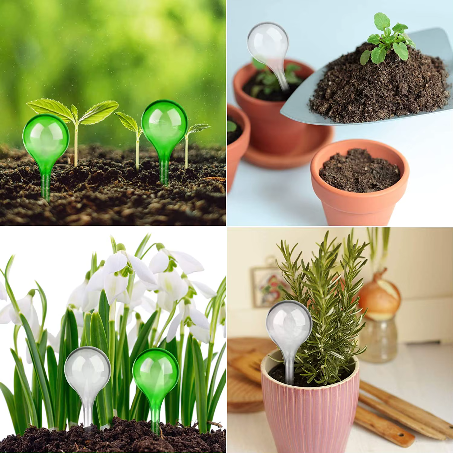 Ampoules d'arrosage automatique pour plantes