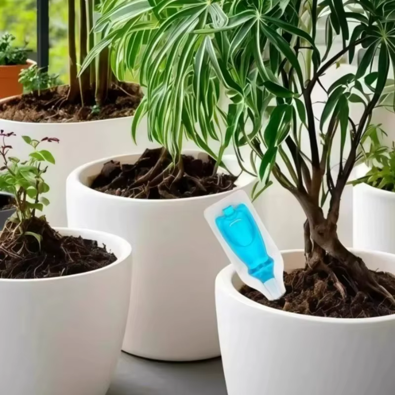 Plante nutritive azote phosphore potásium engrais intérieur Pot de fleur plantes liquide