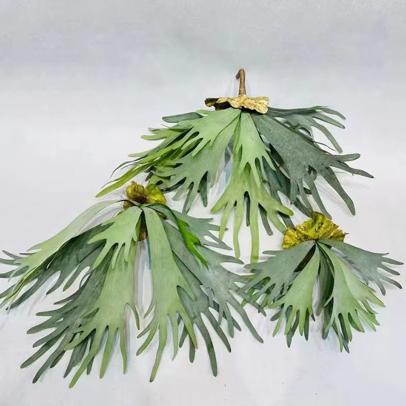 Nouvelles feuilles de bois de cerf artificielles Pteridophyte