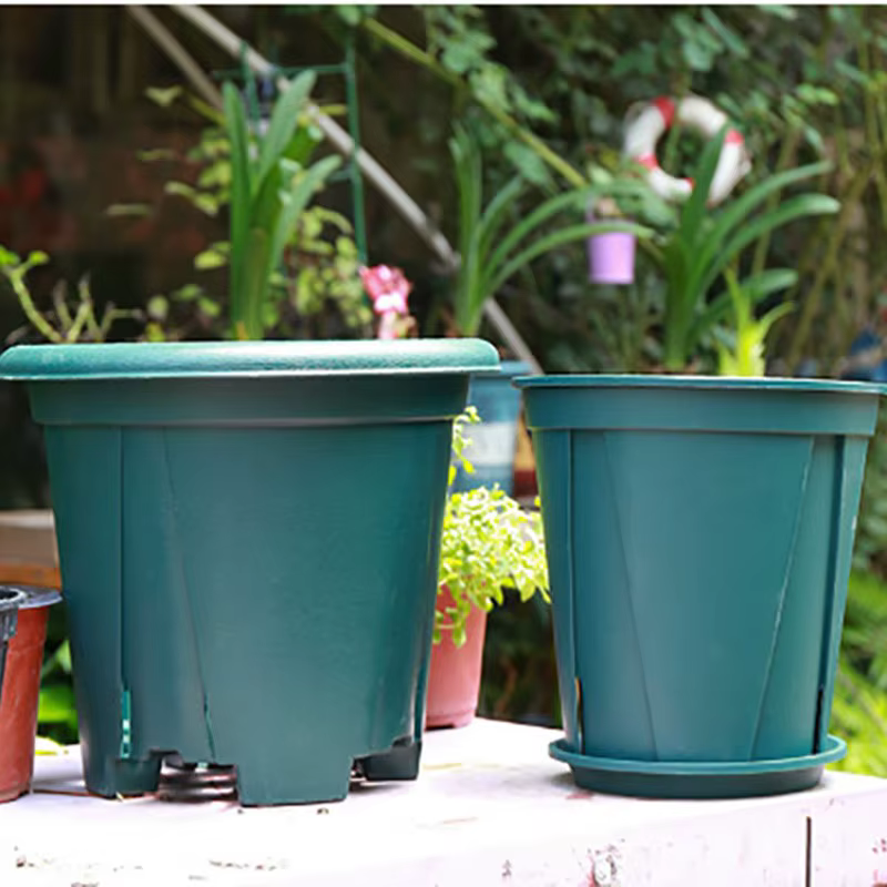 Plateau de Pots de pépinière en plastique