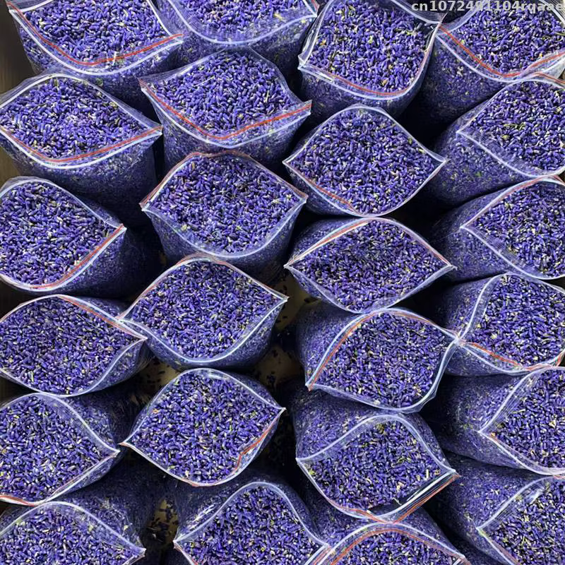 Fleurs séchées SnapLavender