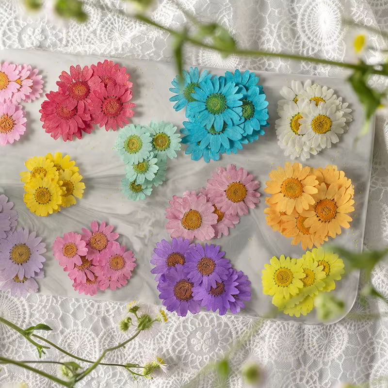 Fleurs séchées pressées pour résine