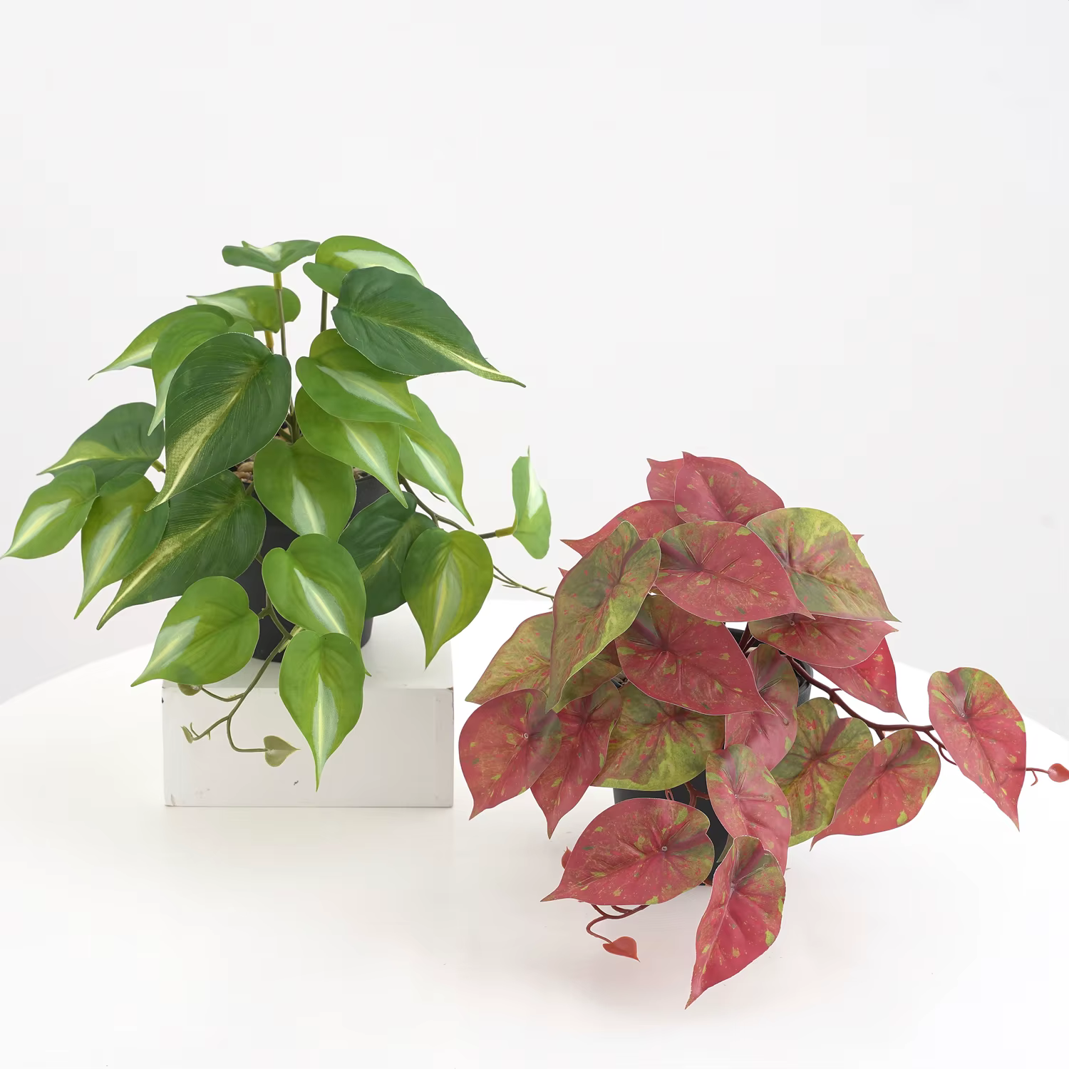 Plante artificielle Monstera Pothos