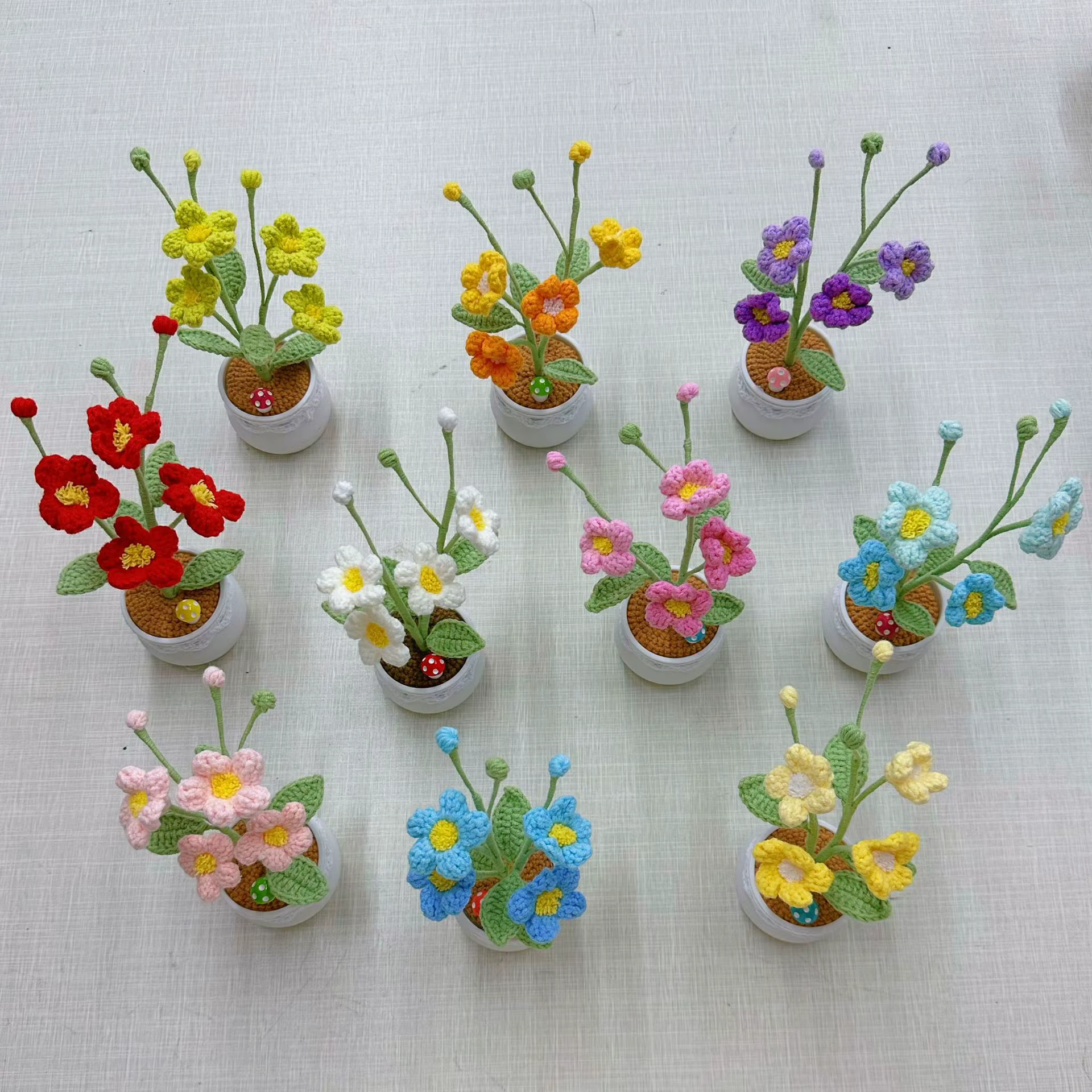 Pot de plante en crochet Oxalis fini à la main